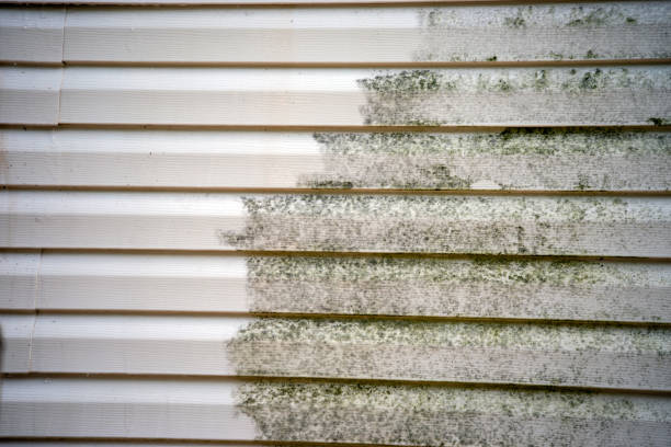 Best Residential Vinyl Siding Installation  in Helena West Side, MT